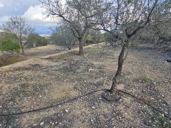 Terreno en via Sense Nom