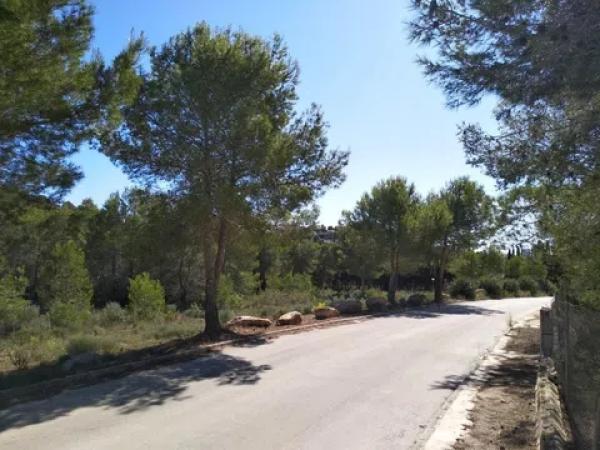 Terreno en Partida la Empedrola