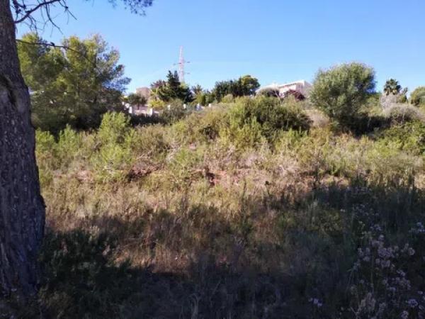 Terreno en Partida la Empedrola