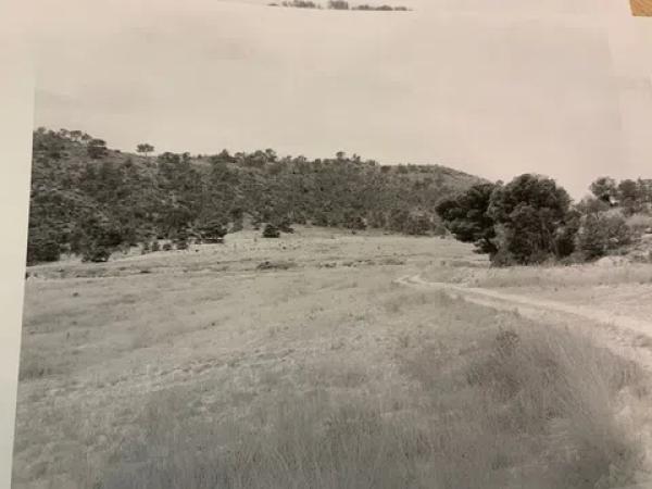 Terreno en carretera de Agost s/n