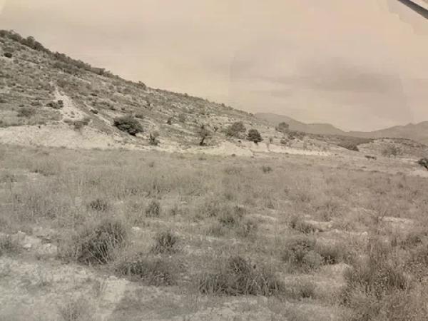 Terreno en carretera de Agost s/n