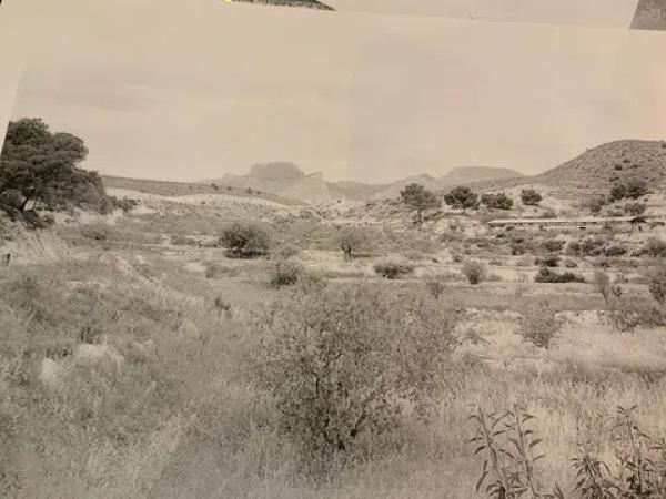 Terreno en carretera de Agost s/n