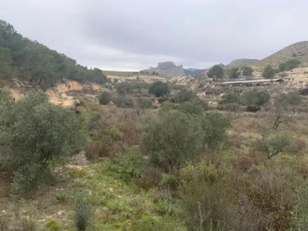 Terreno en carretera de Agost s/n