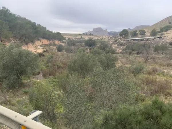 Terreno en carretera de Agost s/n