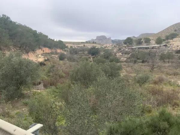 Terreno en carretera de Agost s/n