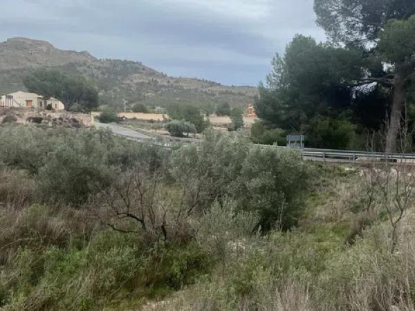 Terreno en carretera de Agost s/n