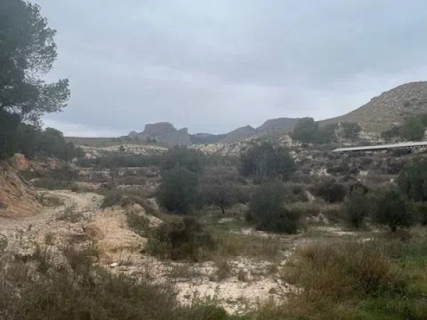 Terreno en carretera de Agost s/n