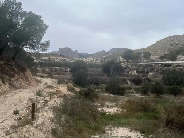 Terreno en carretera de Agost s/n