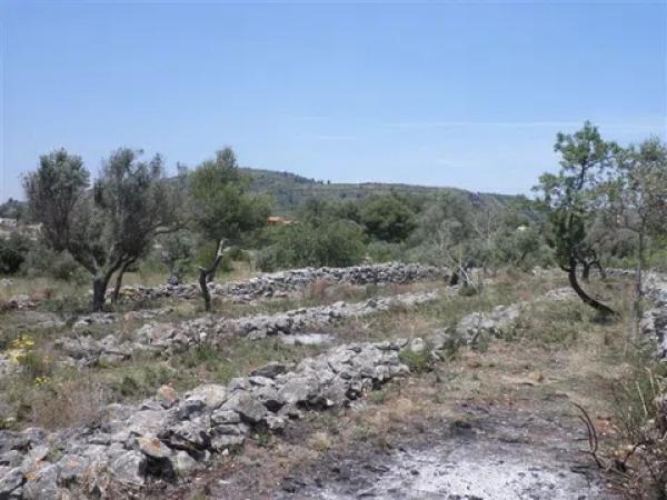 Terreno en Arrabal Zval-30 Pedrera