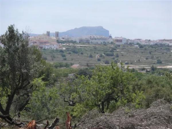 Terreno en Arrabal Zval-30 Pedrera