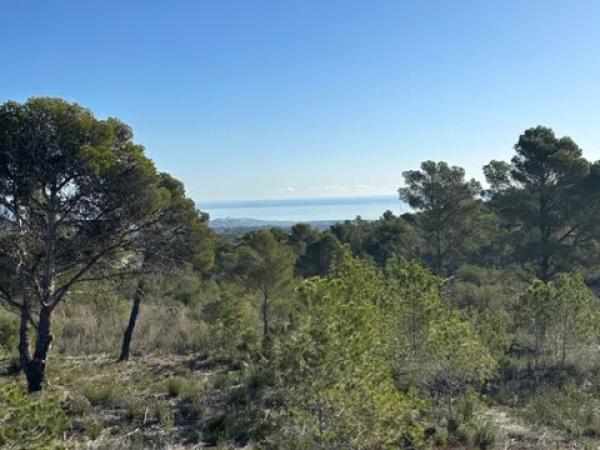 Terreno en Alfaz del Pi Pueblo-Urbanizaciones