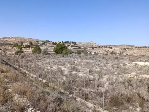 Terreno en plaza Poligono 56, 131