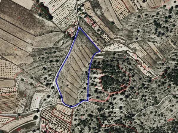 Terreno en Cv-834
