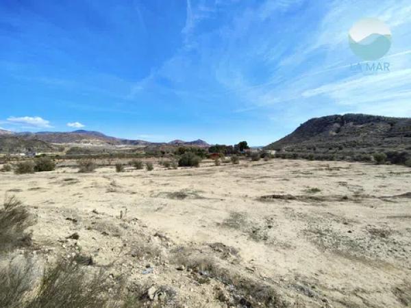 Terreno en camino els Molins