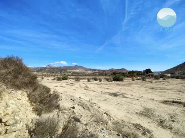 Terreno en camino els Molins