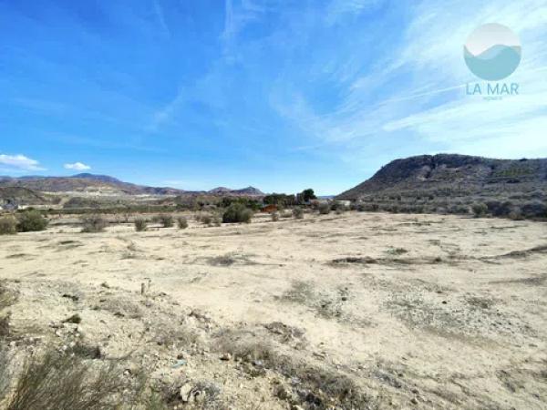 Terreno en camino els Molins