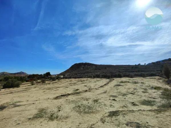 Terreno en camino els Molins