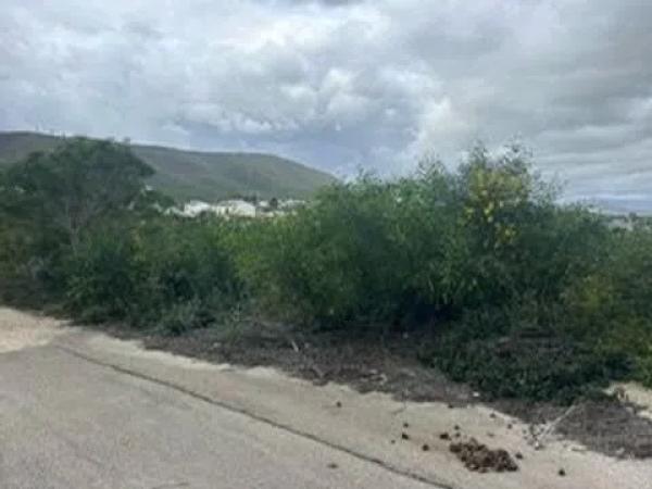 Terreno en calle Jean Ingres, 147  / 166