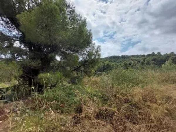 Terreno en calle Giuseppe Verdi
