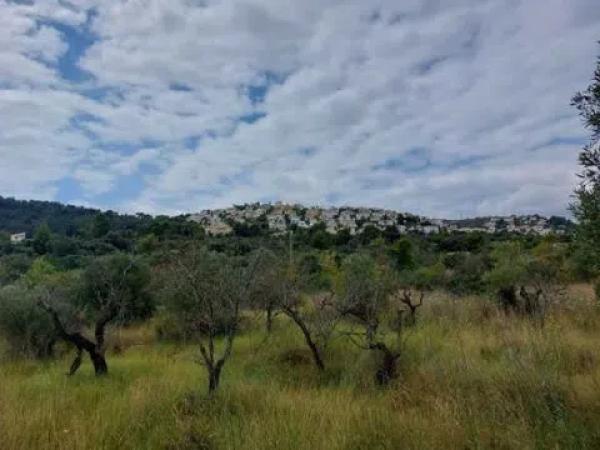 Terreno en calle Giuseppe Verdi
