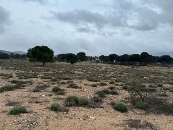 Terreno en via Sense Nom