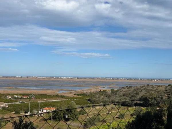 Terreno en avenida Pego