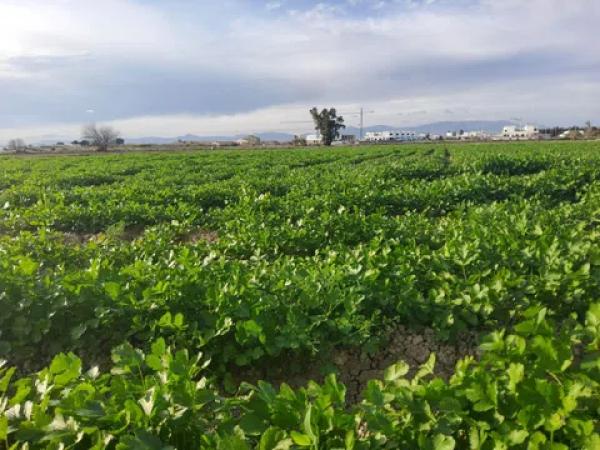 Terreno en vereda de los Josés