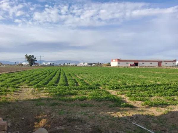 Terreno en vereda de los Josés