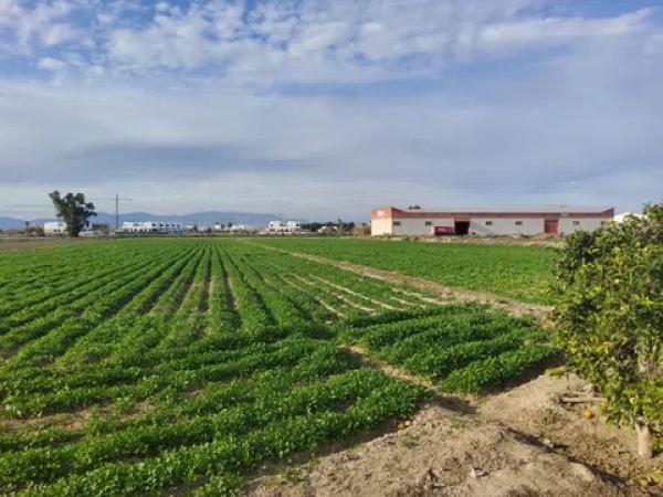 Terreno en vereda de los Josés