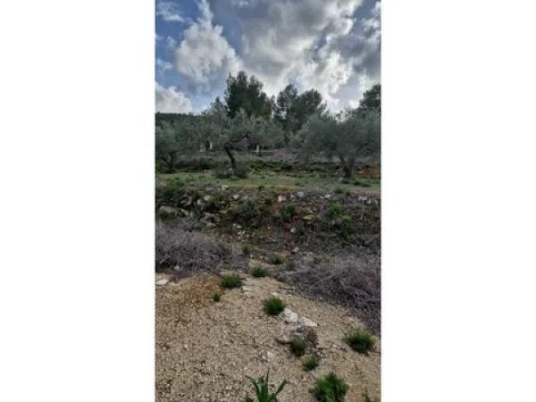 Terreno en Gata de Gorgos