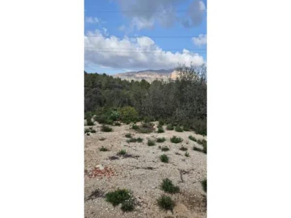 Terreno en Gata de Gorgos