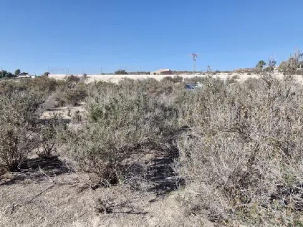 Terreno en Barrio Benalúa