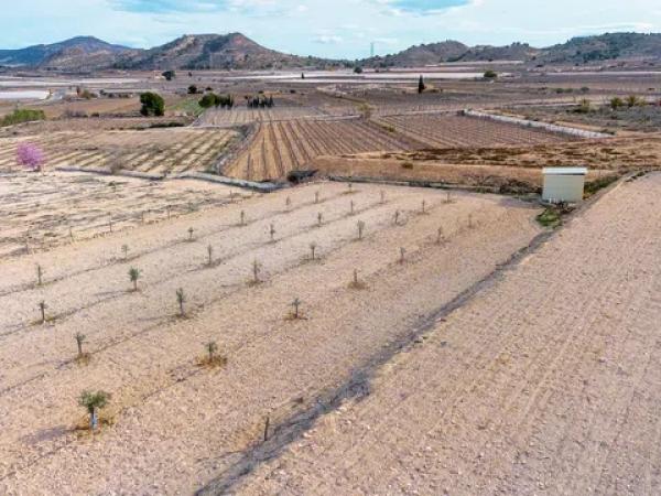 Terreno en via Sense Nom