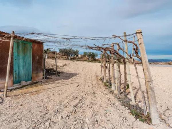 Terreno en via Sense Nom