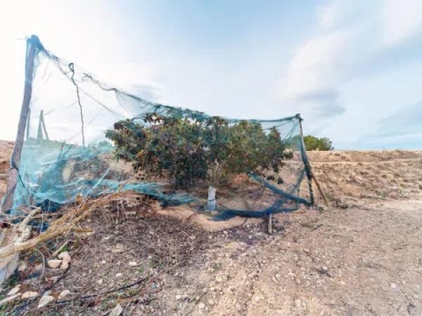 Terreno en via Sense Nom