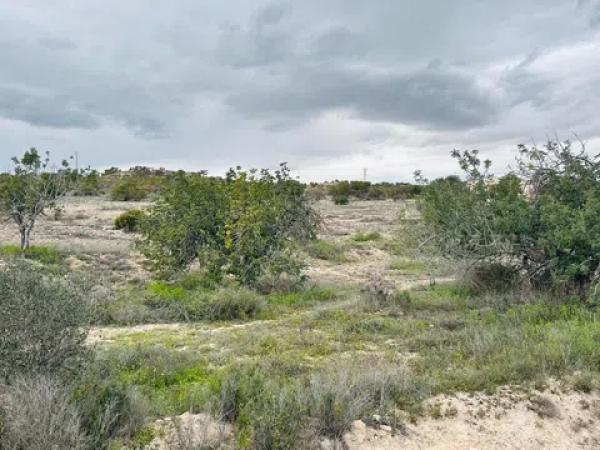 Terreno en La Marina