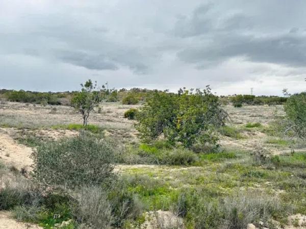 Terreno en La Marina