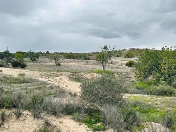 Terreno en La Marina