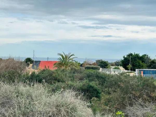 Terreno en La Marina