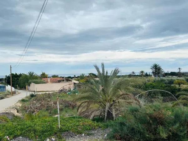 Terreno en La Marina