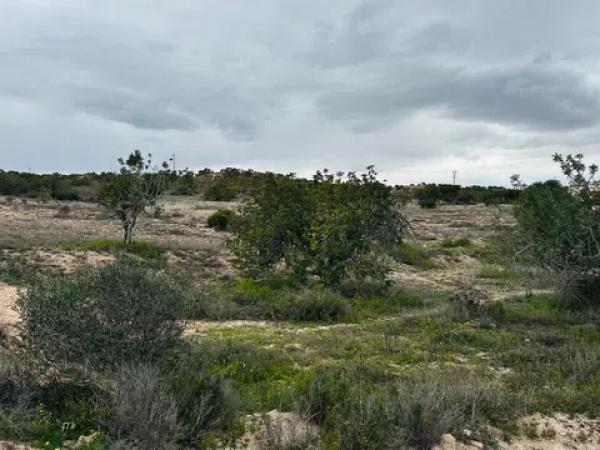 Terreno en La Marina
