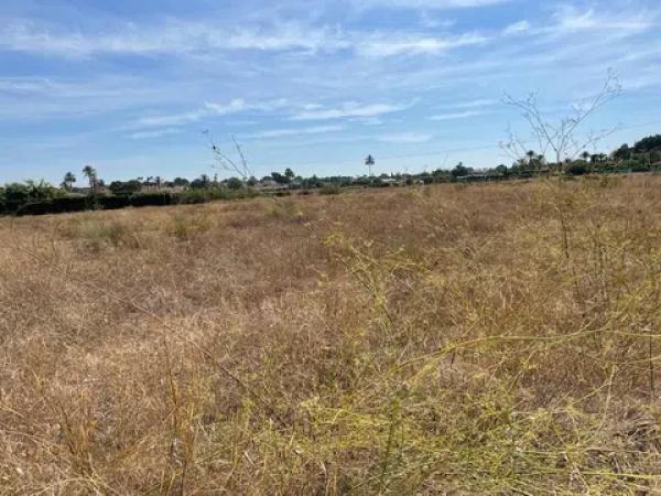 Terreno en Maitino-Perleta