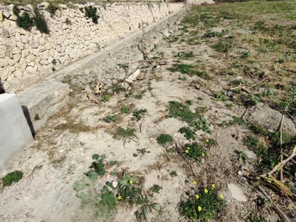 Terreno en calle les Piteres