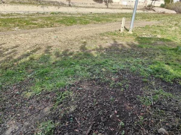 Terreno en calle les Piteres