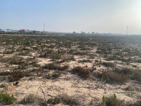 Terreno en Lo Mellinas, 43