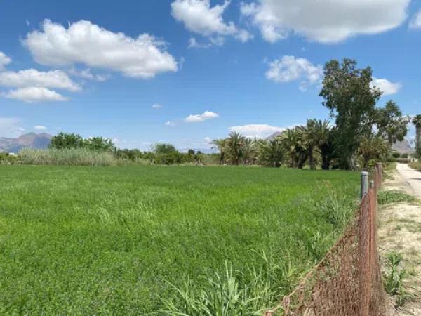 Terreno en Correntias Bajas, 87