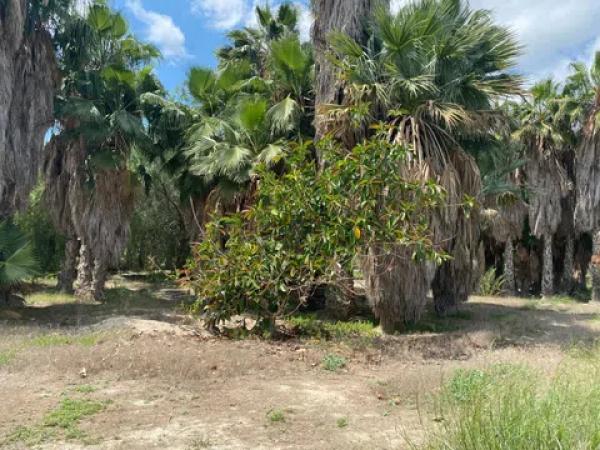 Terreno en Correntias Bajas, 87