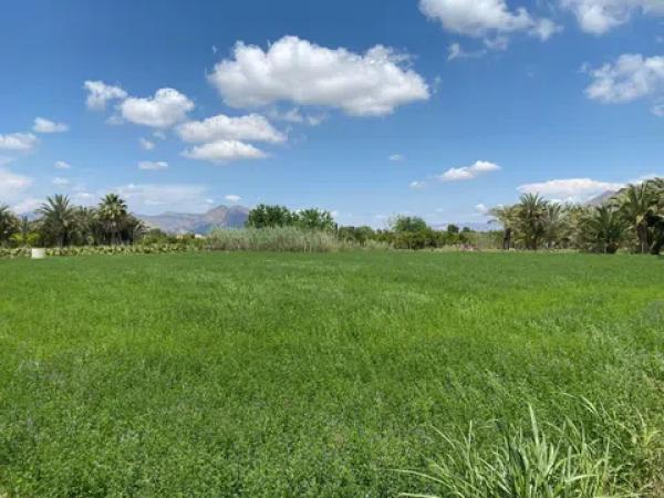 Terreno en Correntias Bajas, 87