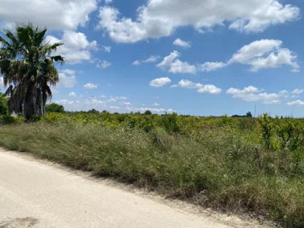 Terreno en Correntias Bajas, 87
