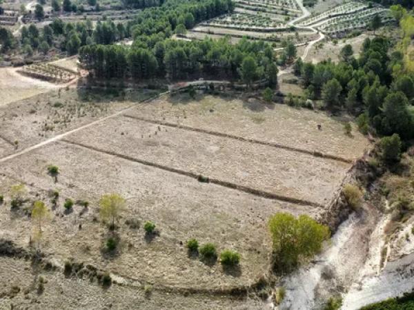 Terreno en via Sense Nom, km 3.841